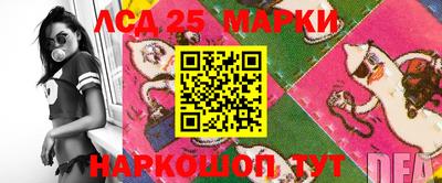 мдпв Нальчик