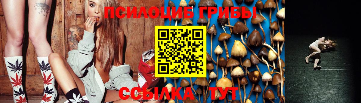 Псилоцибиновые грибы MAGIC MUSHROOMS Старая Купавна