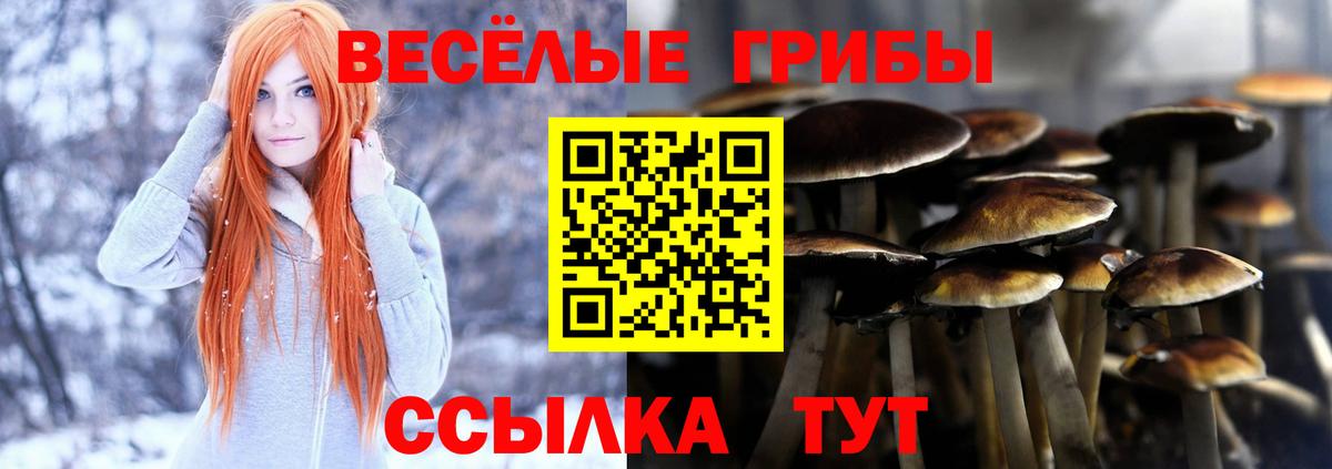 Галлюциногенные грибы MAGIC MUSHROOMS  Вход с VPN  Псилоцибиновые грибы Psilocybe  Старая Купавна 